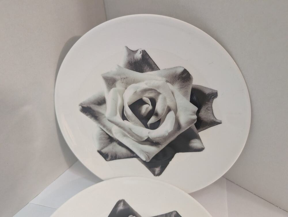 Wedgwood Night And Day Bloomers Bone China Plates Rose Dessert Salad Single